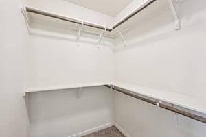 Jester Ct-S0804-022.jpg