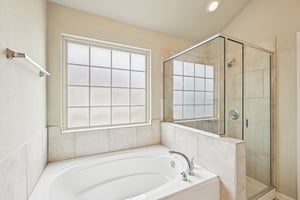 Jester Ct-S0804-024.jpg