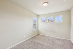 Jester Ct-S0804-026.jpg