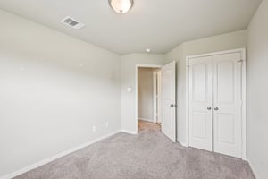 Jester Ct-S0804-027.jpg