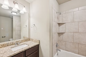 Jester Ct-S0804-028.jpg