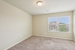 Jester Ct-S0804-030.jpg