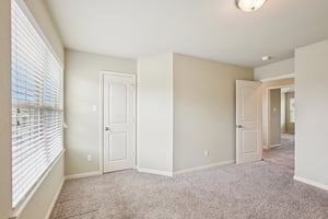 Jester Ct-S0804-031.jpg