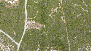  Photo 0