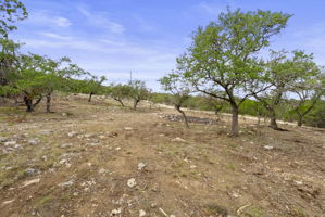  Photo 36