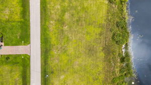 Aerial Overview