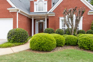 Front Entry Detail
