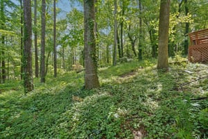 Rockcrest Dr-L0105-056.jpg