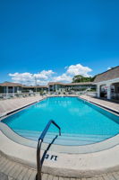 Pool31