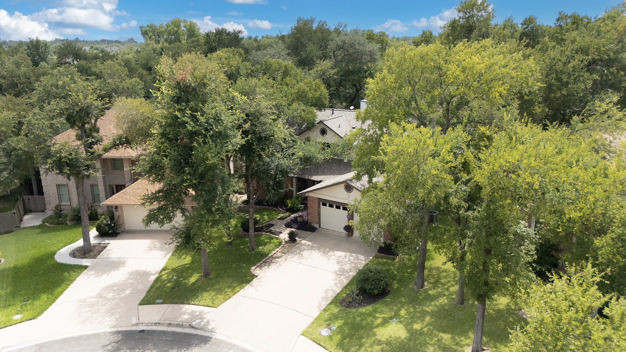 From elm trees to live oak trees