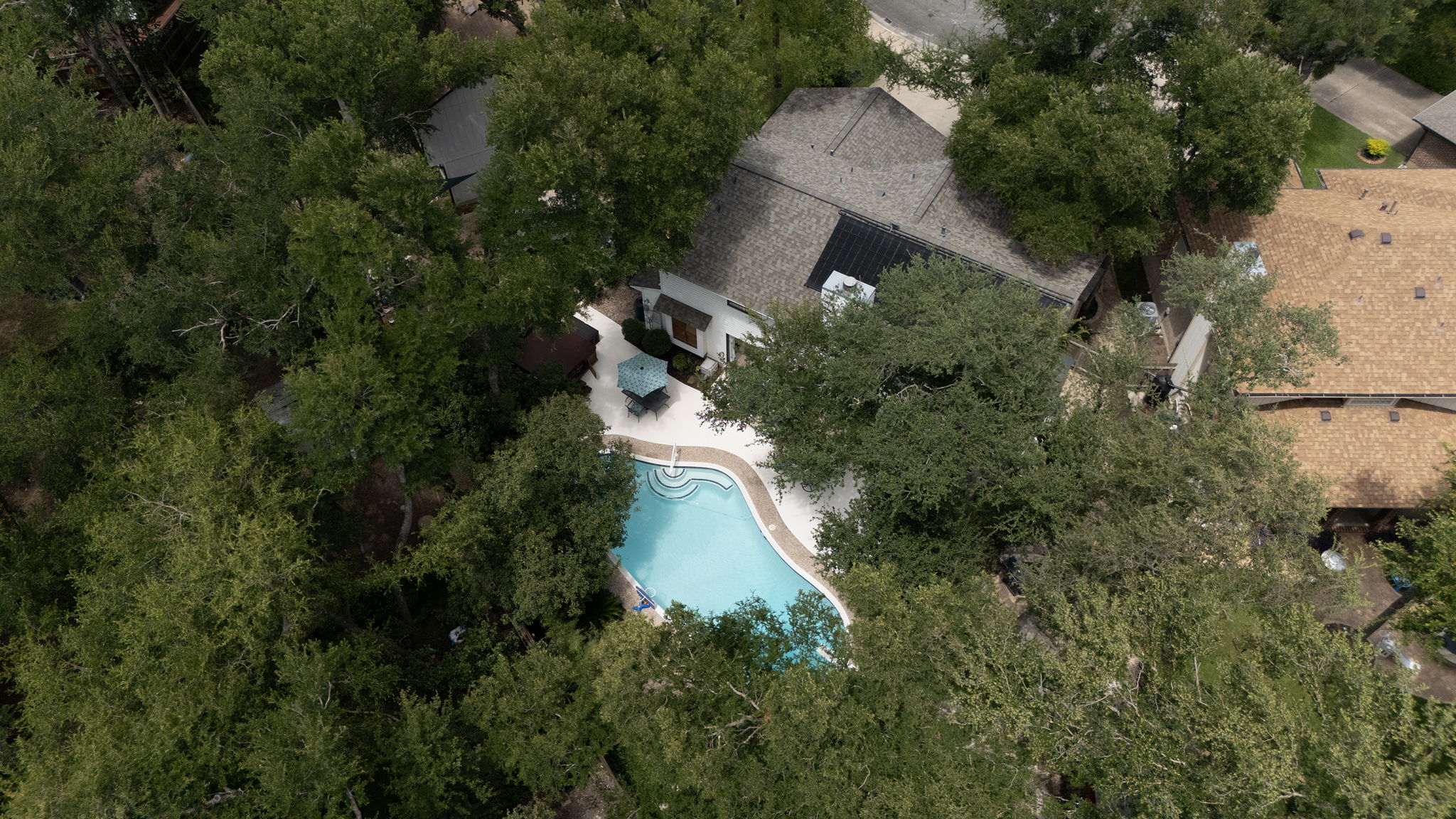 The canopy of trees over Cortaro Cv