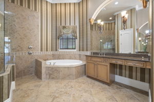 Primary Bathroom 1-2