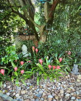  Photo 47
