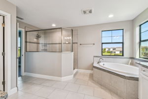 Garden Tub and Wall in Shower