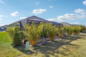 Manuel Cir-S1802-044.jpg