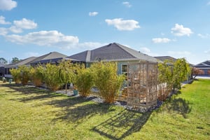 Manuel Cir-S1802-045.jpg