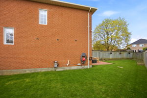 Photo 50