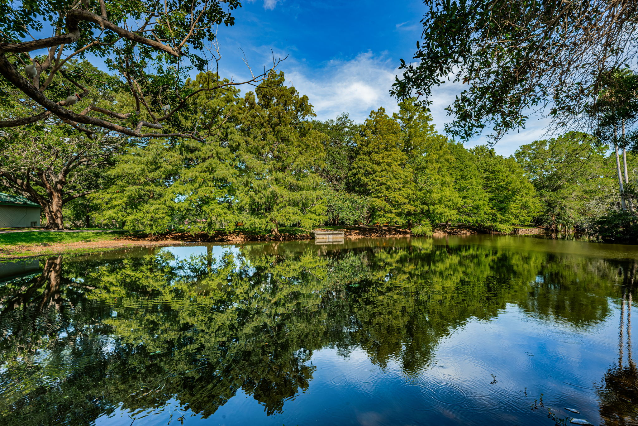 Scotdale Park3