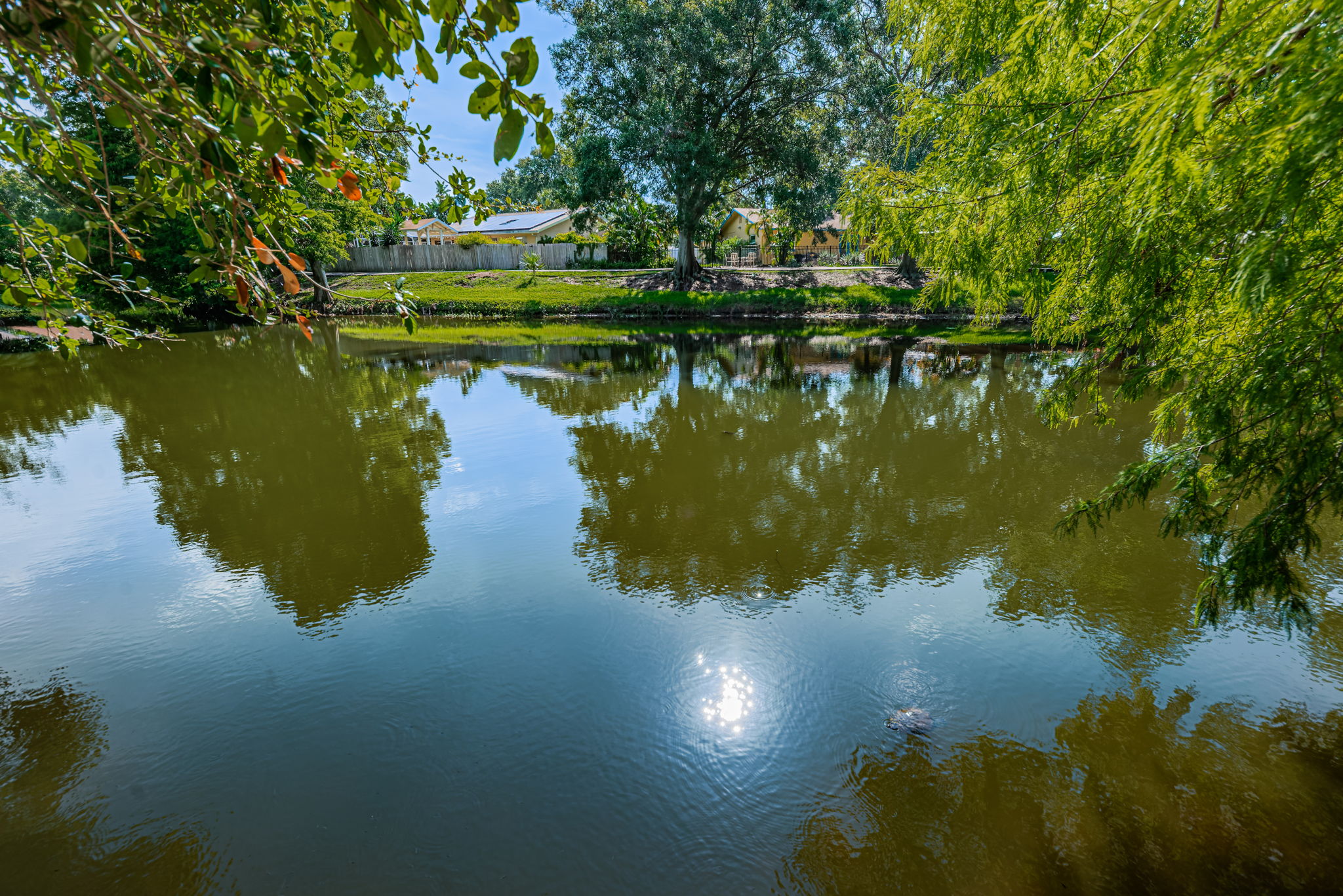 Scotdale Park7
