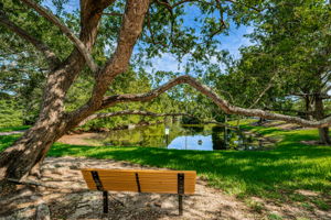 Scotdale Park2