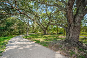 Scotdale Park5