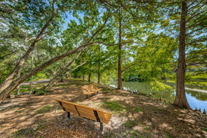 Scotdale Park6
