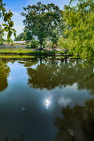 Scotdale Park8