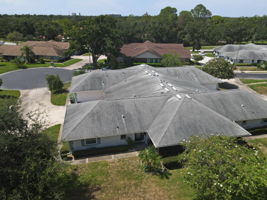 Aerial1
