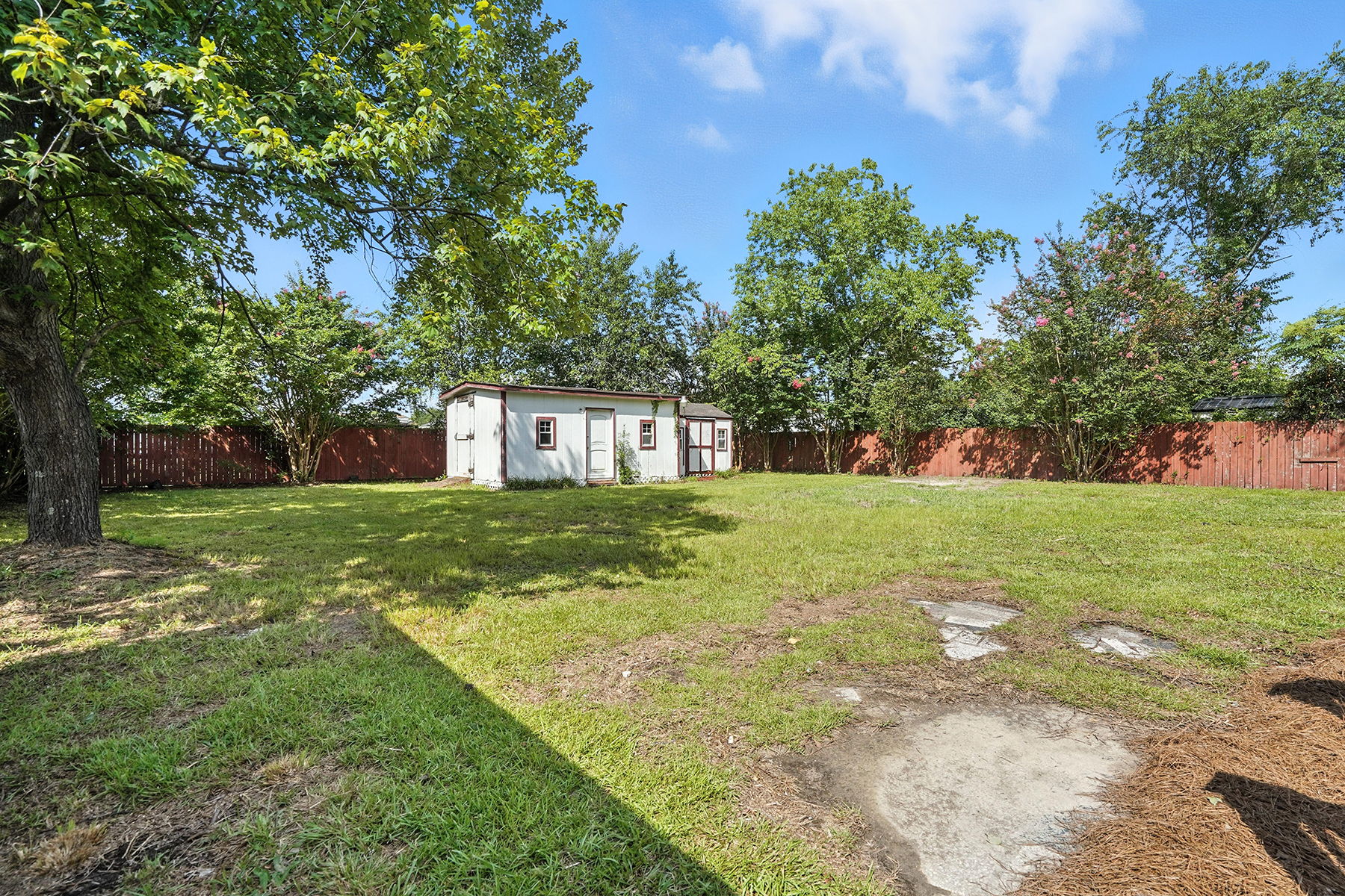 Back Yard