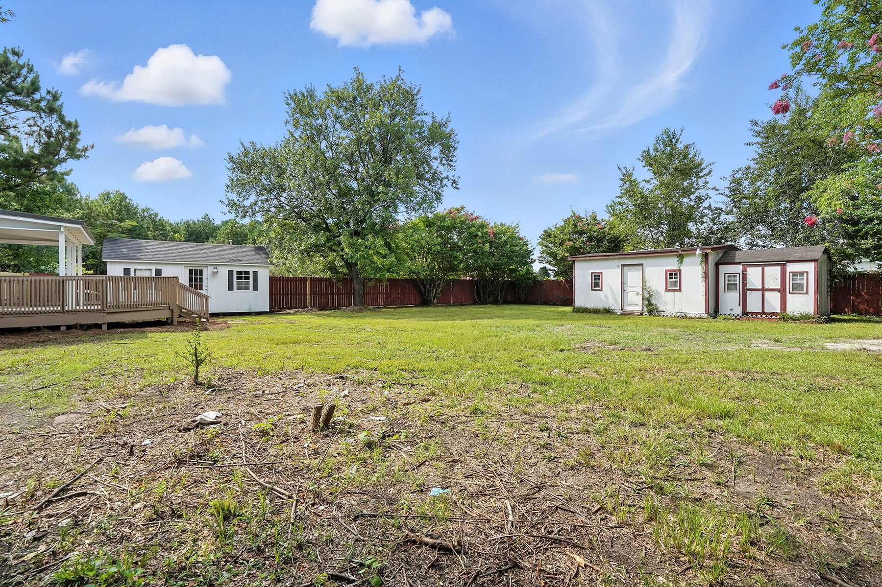 Back Yard