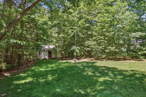 41-Backyard