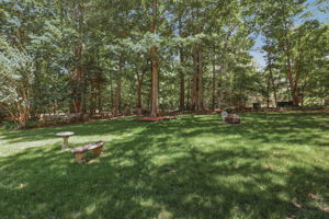 43-Backyard