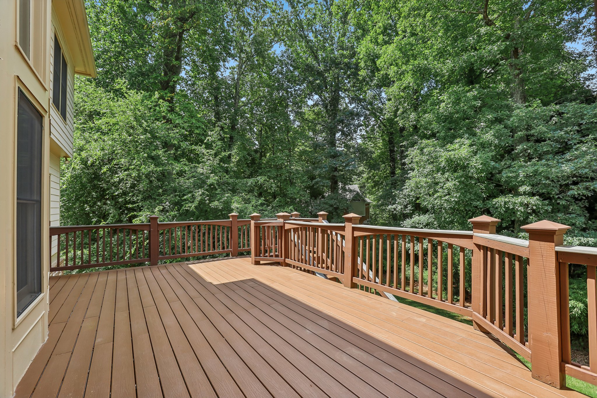 Darvish Ln-S1206-062.jpg