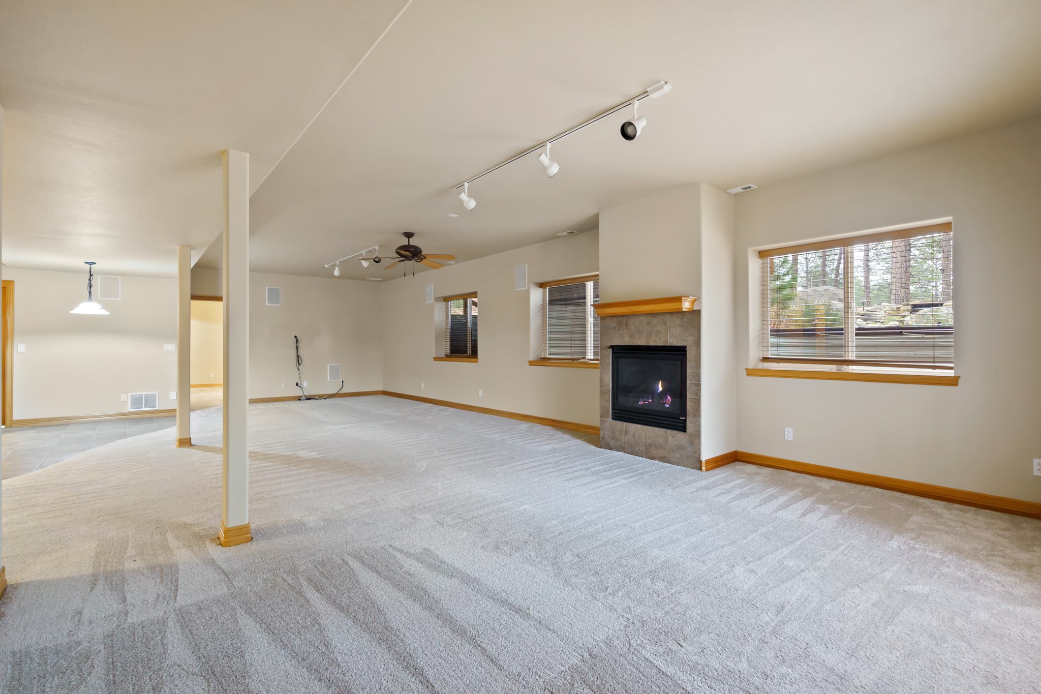 Gas Fireplace in Rec Room