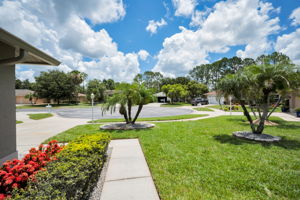 Frontyard and Cul-de-sac