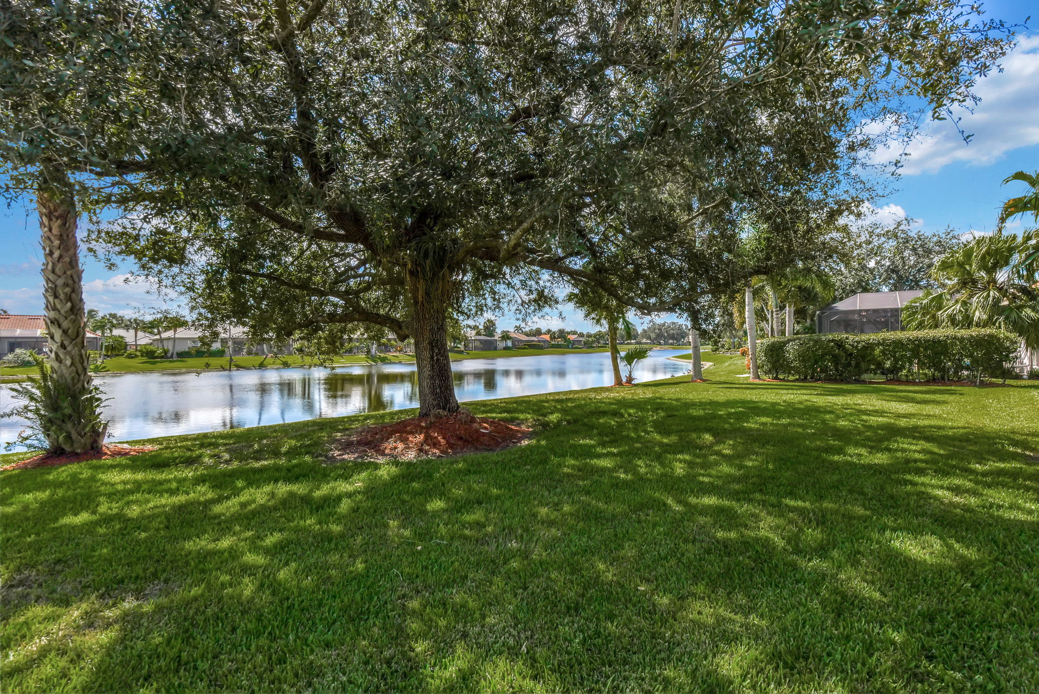 Backyard w/ Room For A Pool