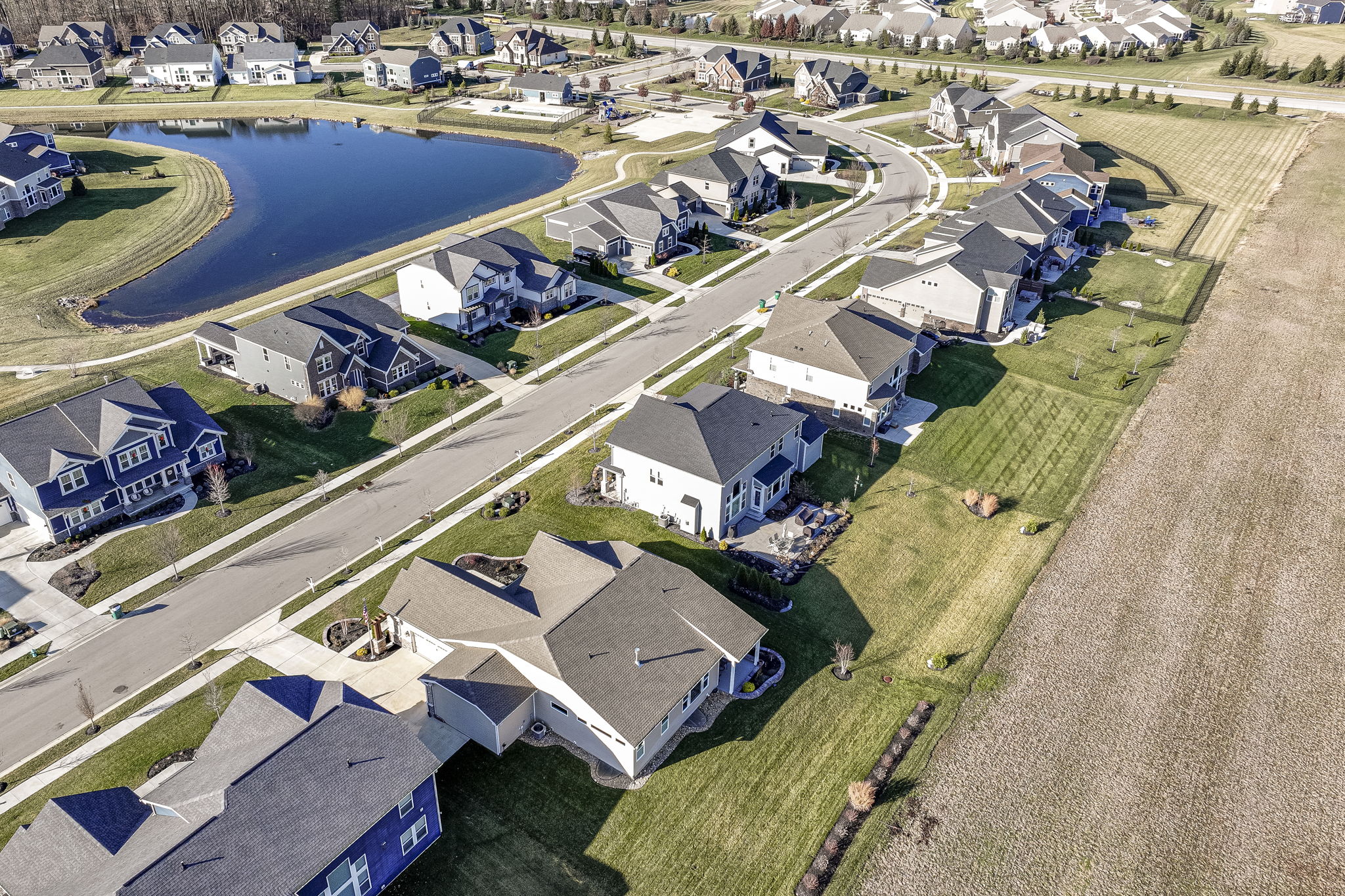 Neighborhood Views