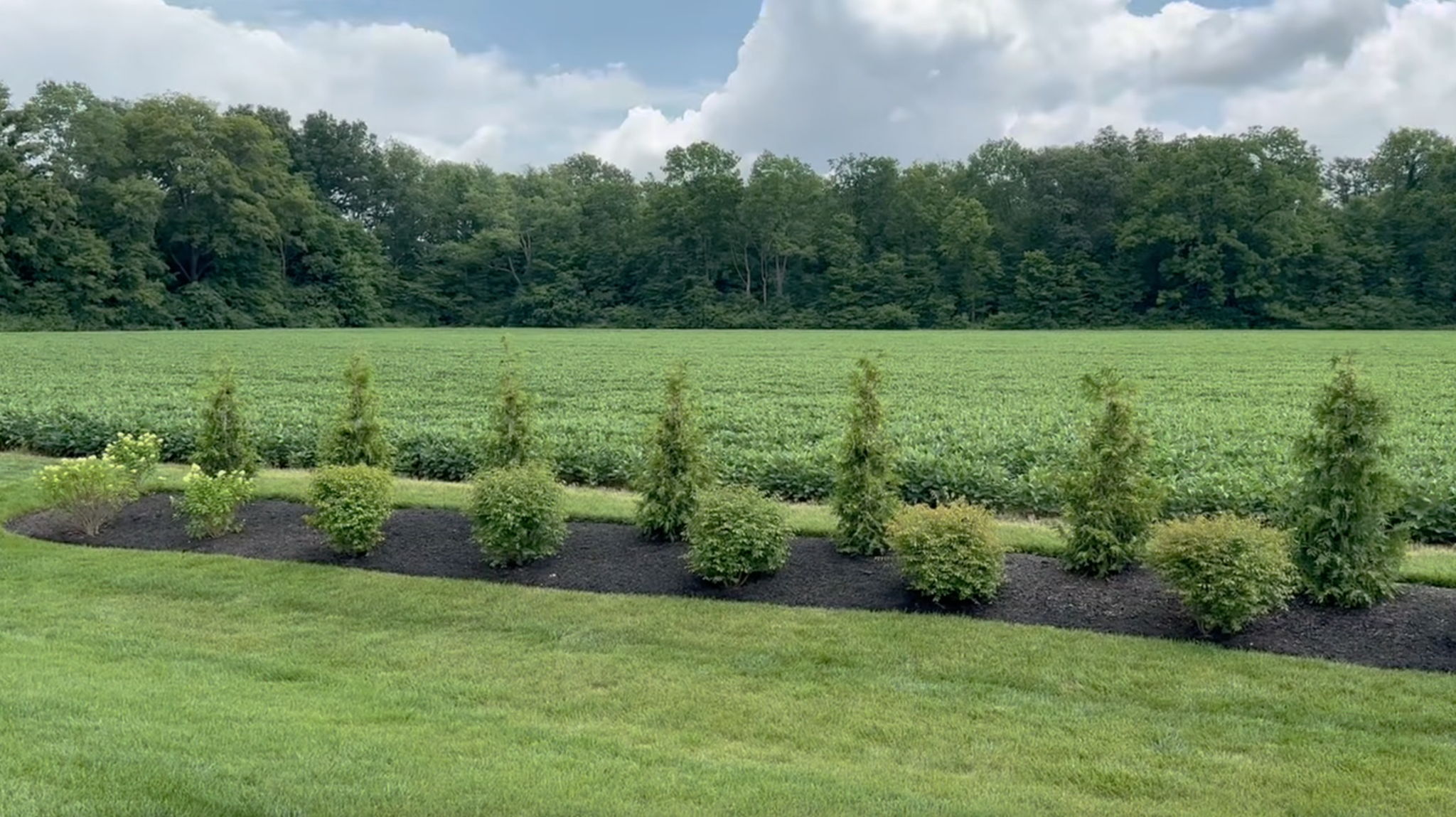 July 2025 - Landscaping added for increased privacy