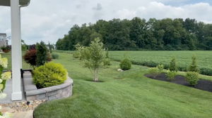 July 2025 - Landscaping added for increased privacy