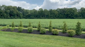 July 2025 - Landscaping added for increased privacy