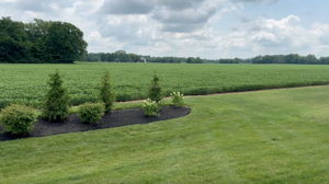 July 2025 - Landscaping added for increased privacy