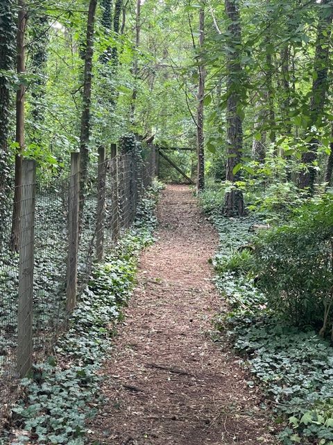 fencing and land up the side yard and through the gate!