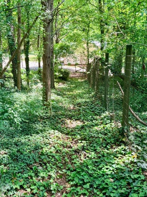 View down hill to house.