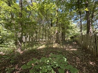 Woods behind back yard.
