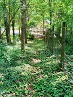 View down hill to house.