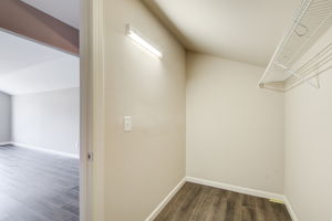 44 Bonus Room Walk In Closet w BR View