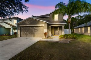 P1019242 day to dusk.jpeg