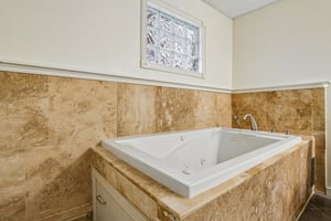 Delphi Dr-S0209-040.jpg