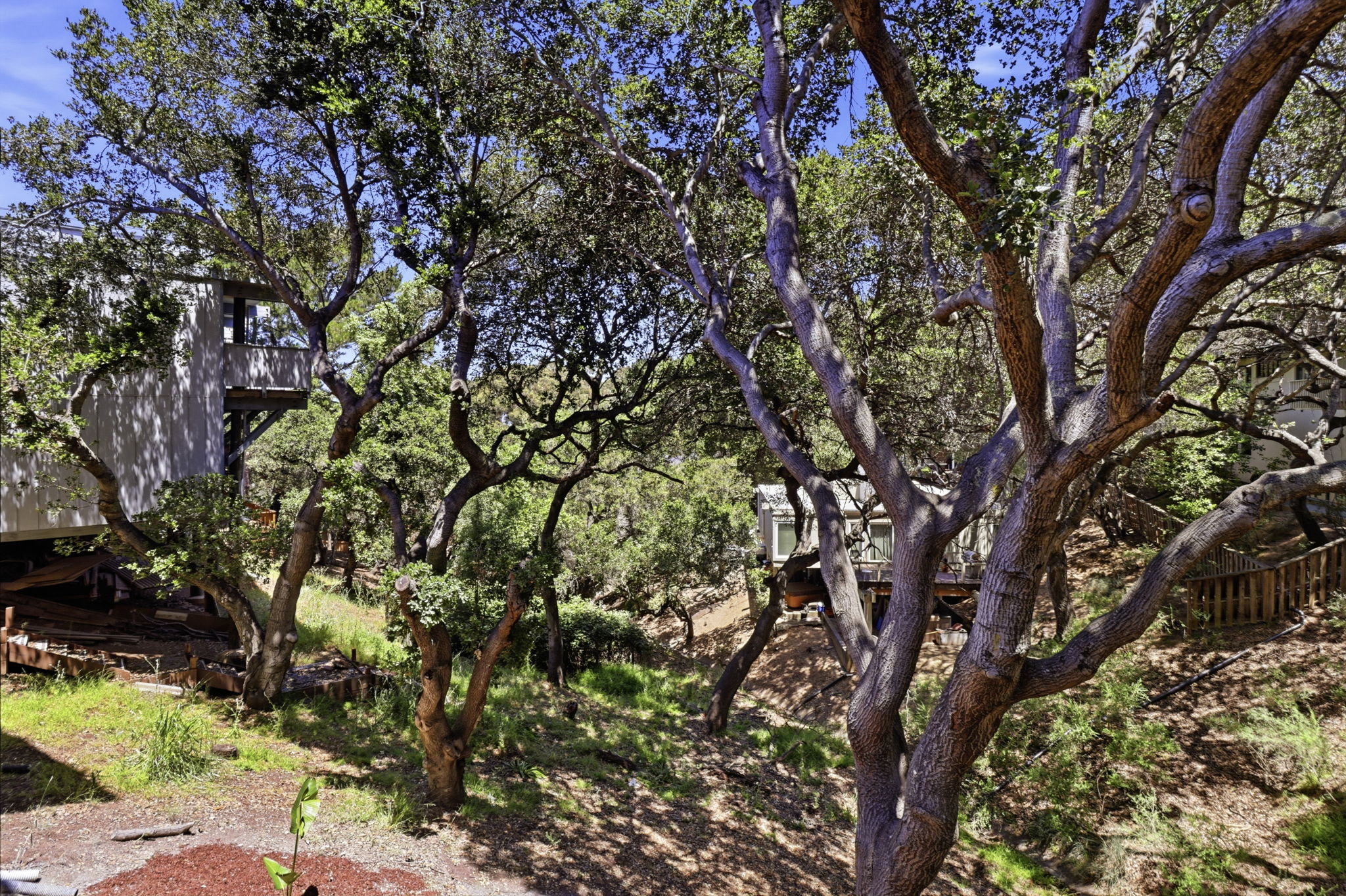 056_F8_1255 North Rd