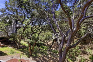 056_F8_1255 North Rd